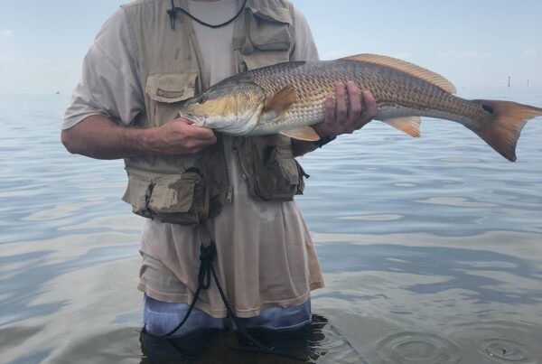 Nicholas Sammartino holding a redfish while fishing in Chatham County